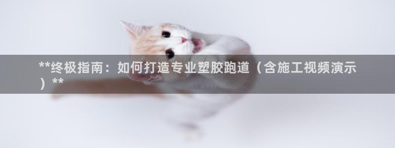 尊龙凯时干什么的：**终极指南：如何打造专业塑胶跑道