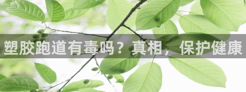 尊龙凯时网站赌愽是真的吗：塑胶跑道有毒吗？真相，保护