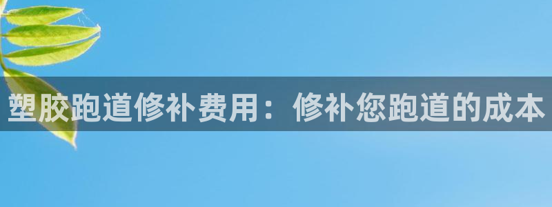 尊龙l1500：塑胶跑道修补费用：修补您跑道的成本