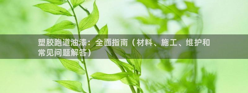 尊龙凯时人生就是搏包装优势:塑胶跑道油漆:全面指南(材料、施